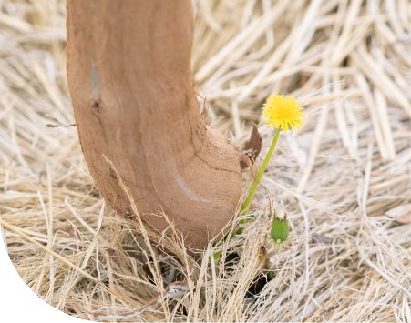 地のチカラを信じて支える